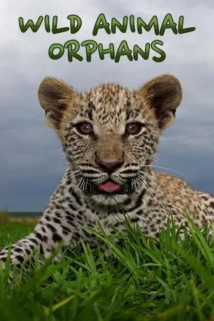 Wild Animal Orphans