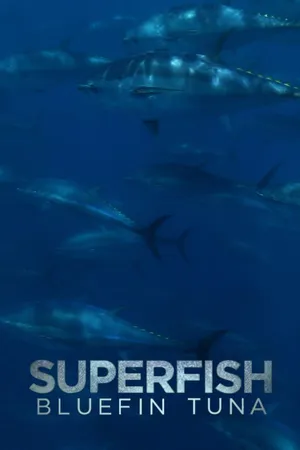 Superfish: Bluefin Tuna