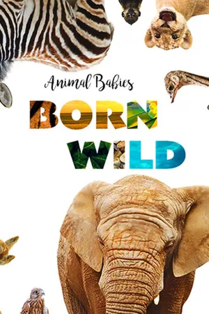 Animal Babies Born Wild