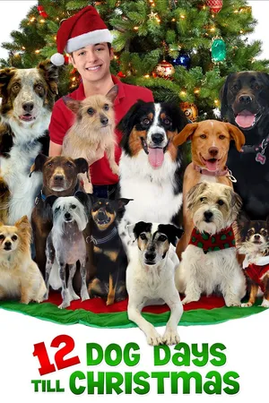 12 Dog Days Till Christmas