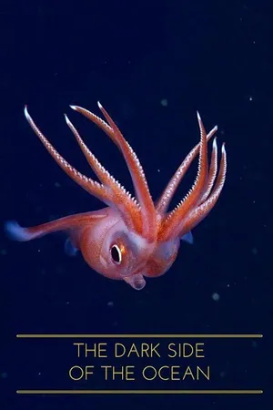 The Dark Side of the Ocean
