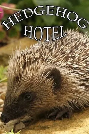 Hedgehog Hotel
