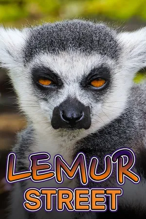 Lemur Street