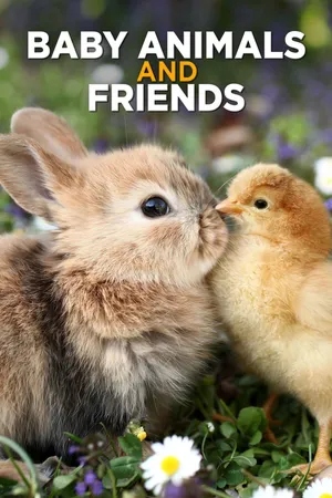 Baby Animals and Friends