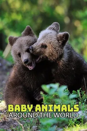 Baby Animals Around the World