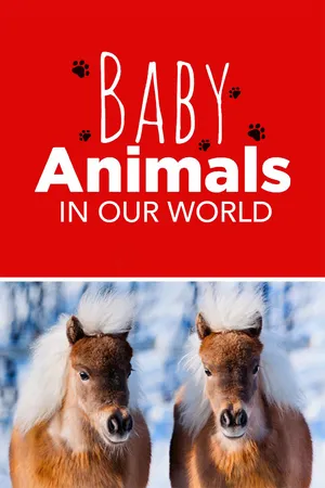 Baby Animals In Our World 2