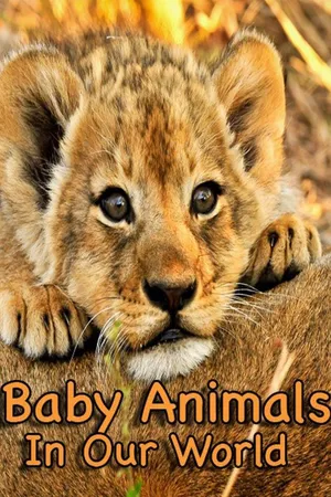 Baby Animals In Our World 2