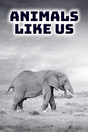 Animals Like Us