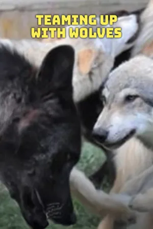 Teaming Up With Wolves
