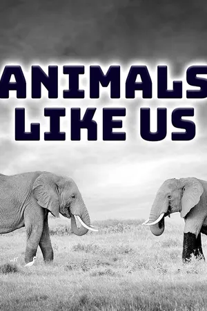 Animals Like Us