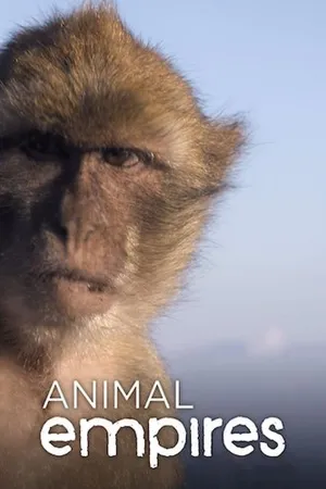 Imperios animales