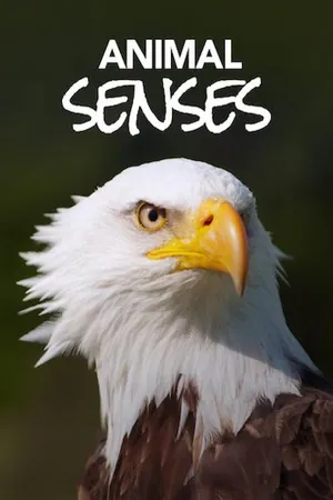 Sentidos de los animales