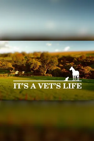 It's a Vet's Life