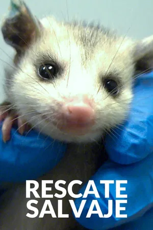 Rescate salvaje