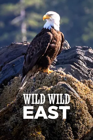 Wild Wild East