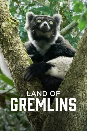 Land of Gremlins