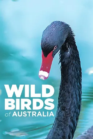 Wild Birds of Australia