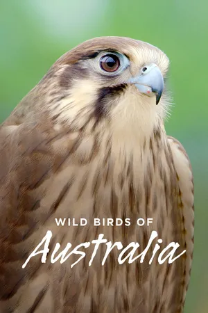 Wild Birds of Australia