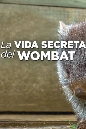 La vida secreta del wombat