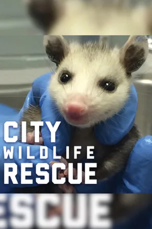 City Wildlife Rescue