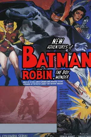 New Adventures Of Batman And Robin