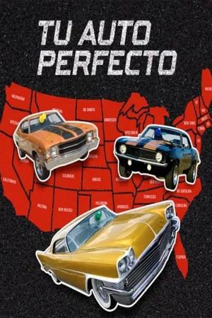 Tu auto perfecto