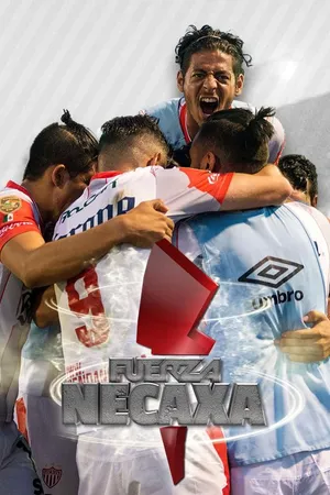 Fuerza Necaxa