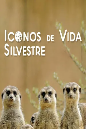 Iconos de vida silvestre