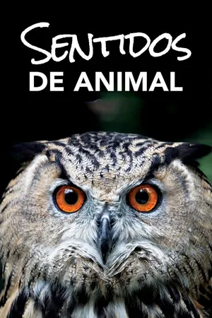 Sentidos  de Animal