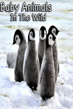 Baby Animals in the Wild