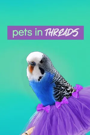 Moda Pet