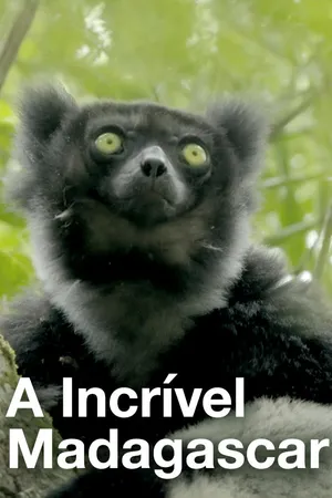 A Incrível Madagascar