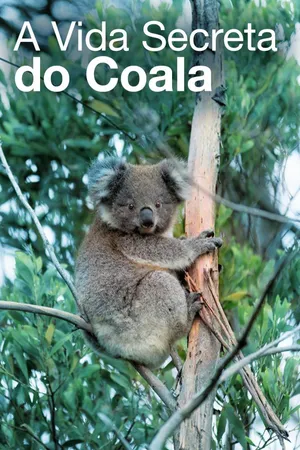 A Vida Secreta do Coala