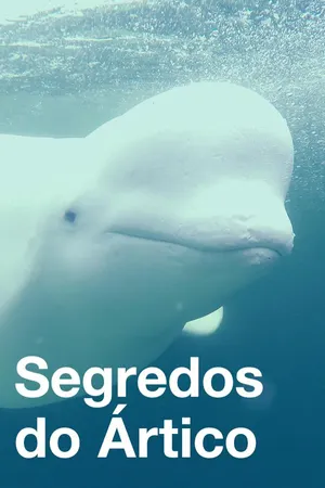 Segredos do Ártico