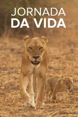 Jornada da Vida