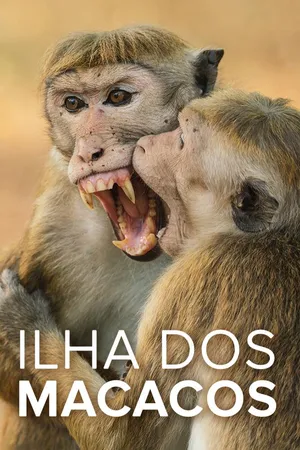 Ilha dos Macacos