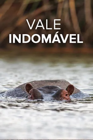 Vale Indomável