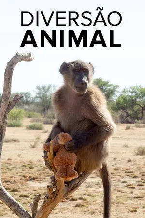 Diversão Animal