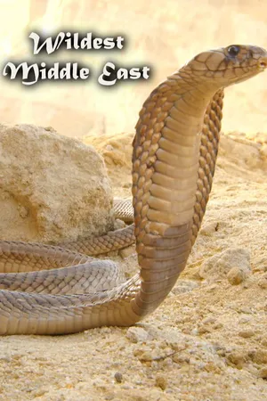 Wildest Middle East