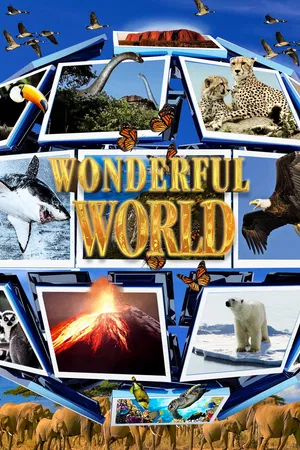 Wonderful World