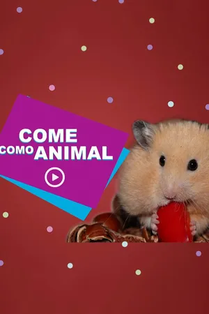 Come Como Animal
