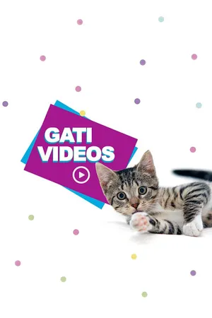 Gativideos