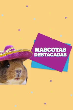 Mascotas Destacadas