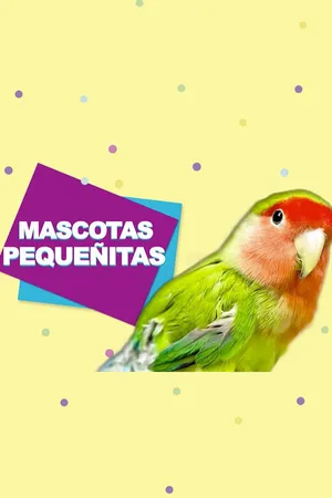 Mascotas Pequeñitas
