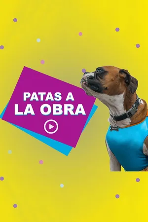 Patas a la Obra