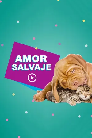 Amor Salvaje