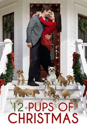 12 PUPS OF CHRISTMAS
