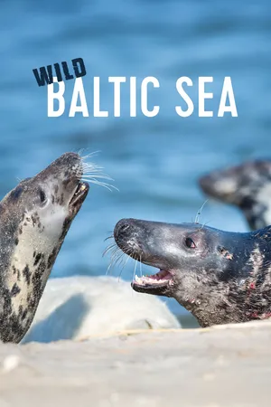 Wild Baltic Sea
