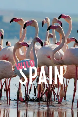 Wild Spain