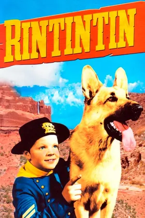 Rin-tin-tin